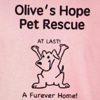 Olive's Hope Pet Rescue